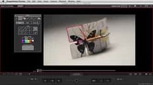 dragonframe 3.0.8 rapid download