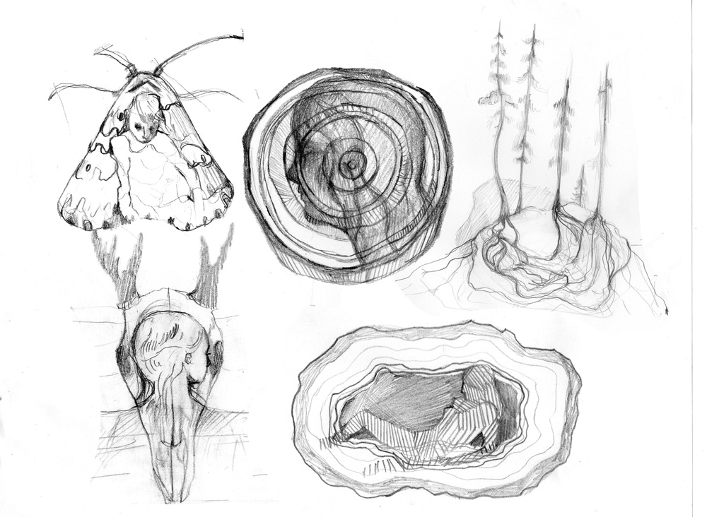 morris / "joy " for iron and wine Dragonframe