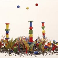 Plant Geometry by Thomas Harnett O’Meara