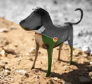 doggie_ab_df5b