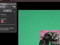 Video-Chroma-Key abspielen